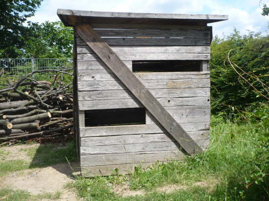 P1010008
